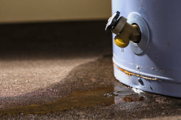 Best 24-hour water damage restoration  in Norristown, PA