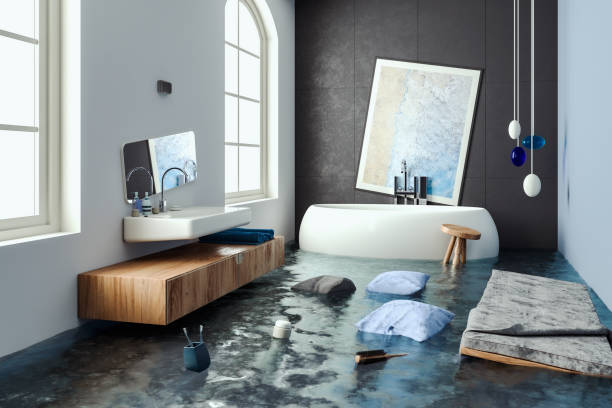 Best Mold removal after water damage  in Norristown, PA