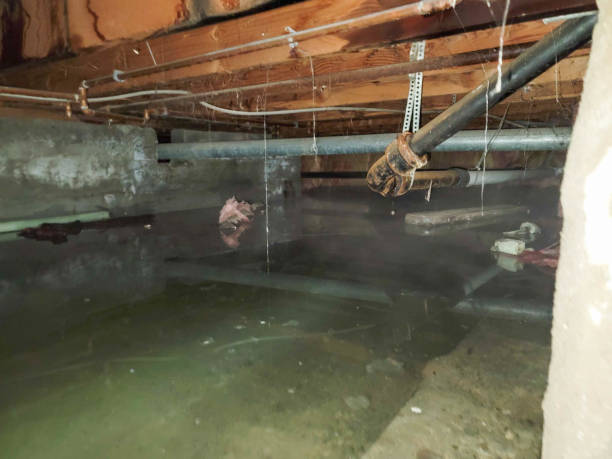 Best Ceiling water damage repair  in Norristown, PA