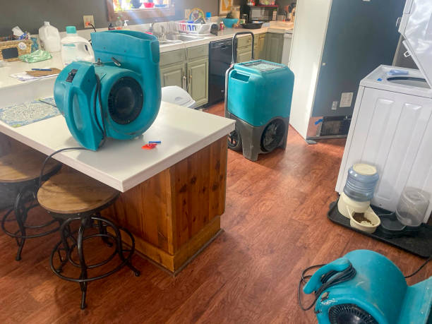 Best Residential water damage restoration  in Norristown, PA
