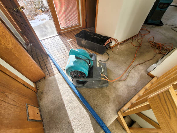 Best Flood damage cleanup  in Norristown, PA