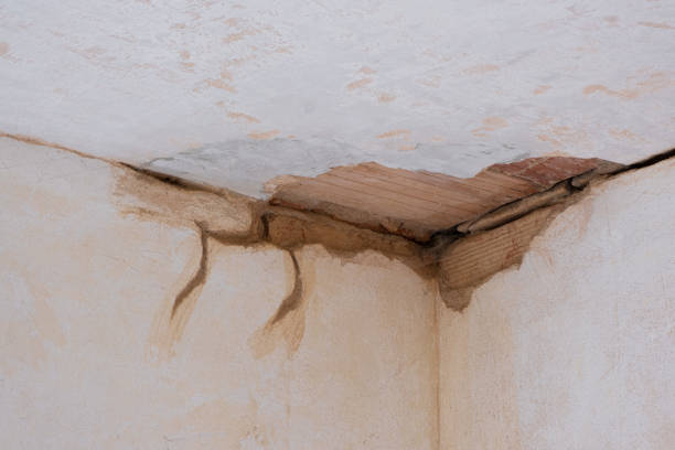 Best Carpet water damage restoration  in Norristown, PA