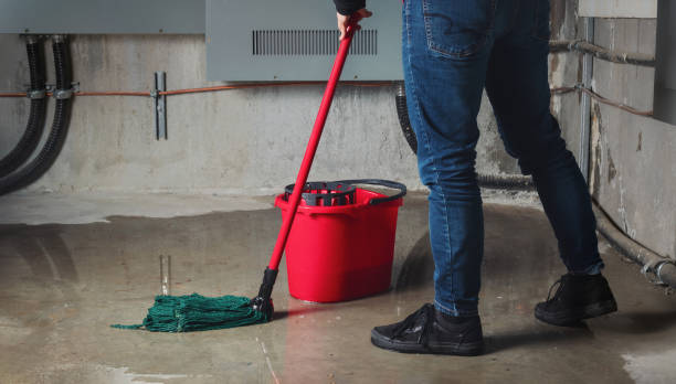 Best Local water damage restoration  in Norristown, PA