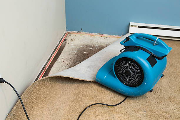 Best Flooded house restoration  in Norristown, PA